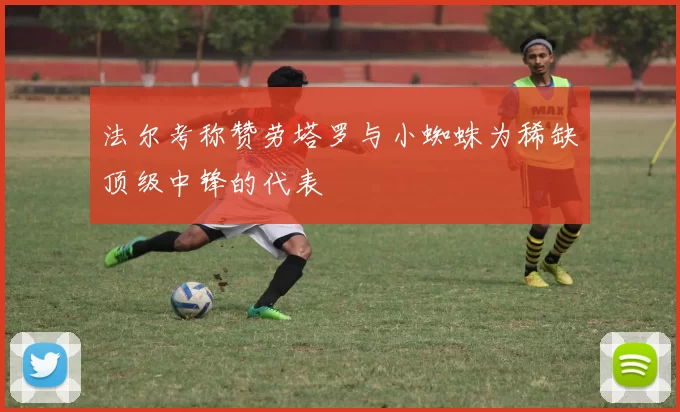 法尔考称赞劳塔罗与小蜘蛛为稀缺顶级中锋的代表