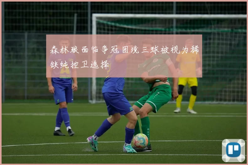 森林狼面临争冠困境三球被视为稀缺纯控卫选择