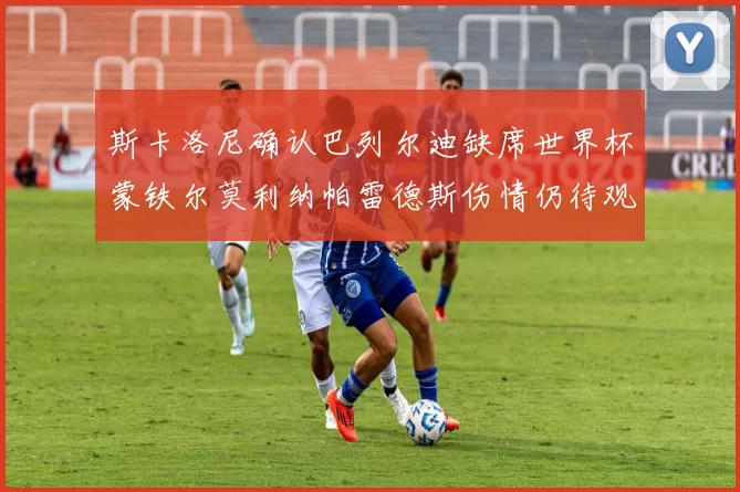 斯卡洛尼确认巴列尔迪缺席世界杯蒙铁尔莫利纳帕雷德斯伤情仍待观察