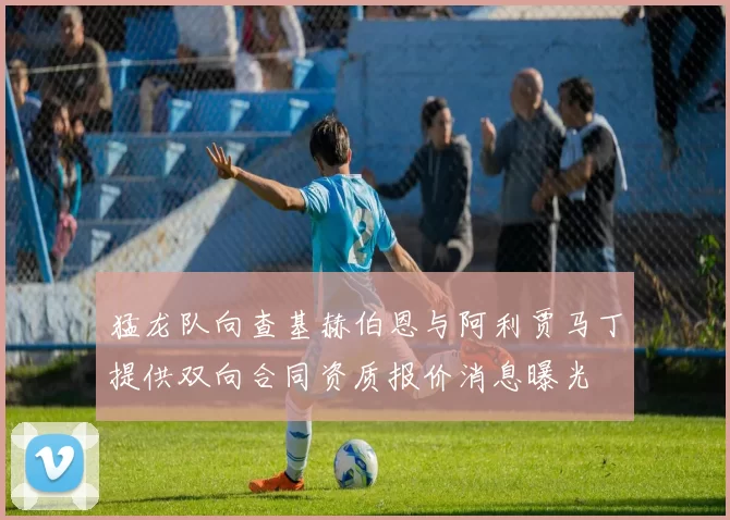 猛龙队向查基赫伯恩与阿利贾马丁提供双向合同资质报价消息曝光