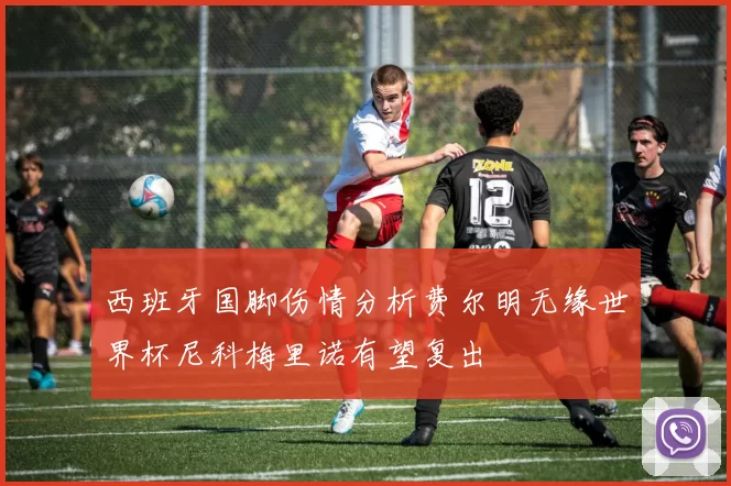 西班牙国脚伤情分析费尔明无缘世界杯尼科梅里诺有望复出